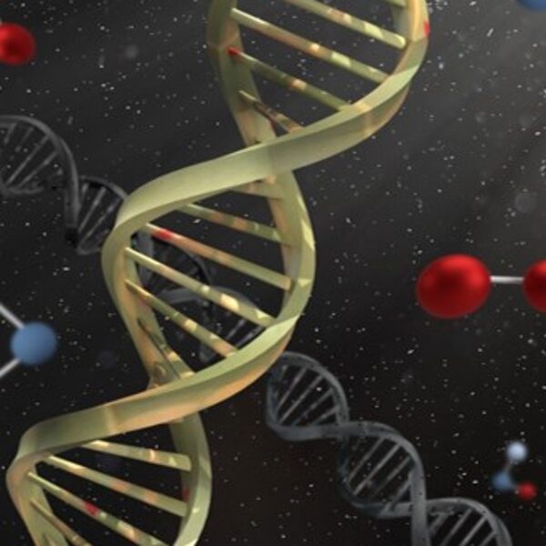 DISCIPLESHIP DNA: BUILDING BLOCKS TO FOLLOWING CHRIST