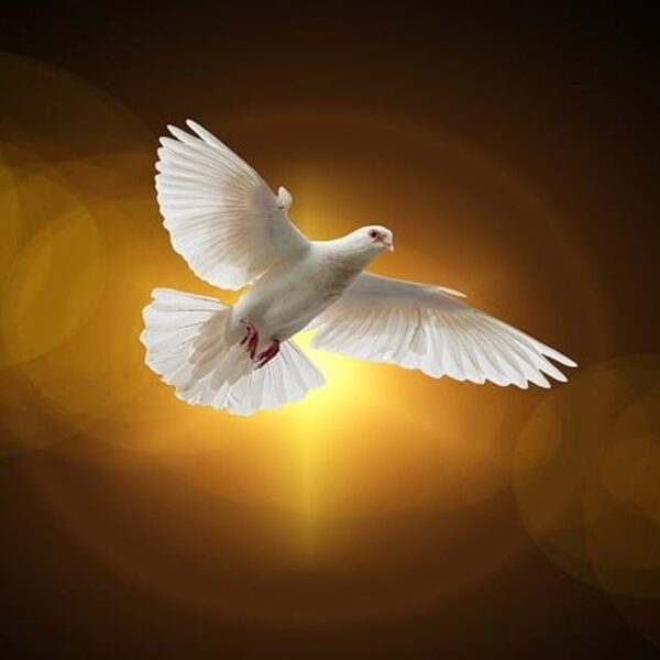 The MINISTRY OF THE HOLY SPIRIT