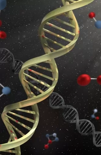 DISCIPLESHIP DNA: BUILDING BLOCKS TO FOLLOWING CHRIST