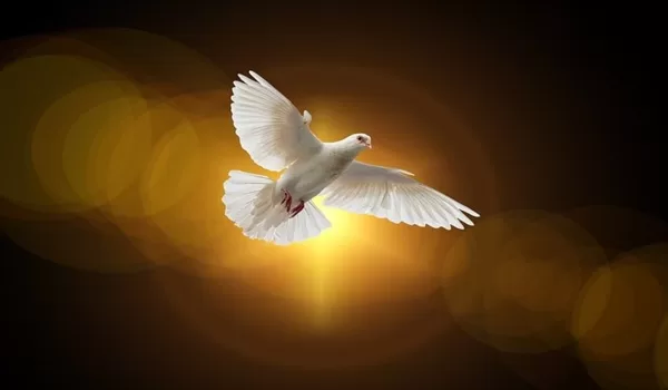 The MINISTRY OF THE HOLY SPIRIT